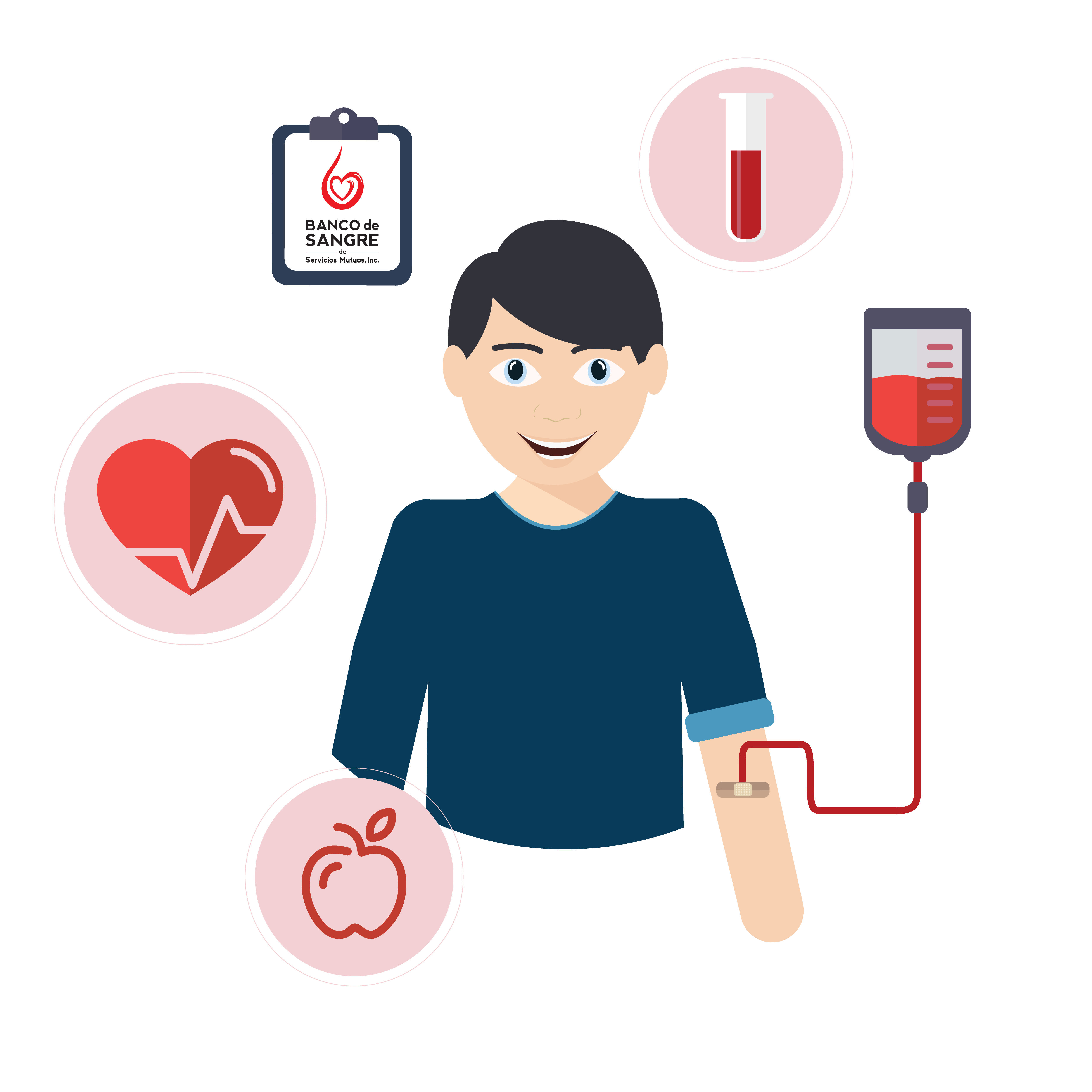 Blood donation information infographic
